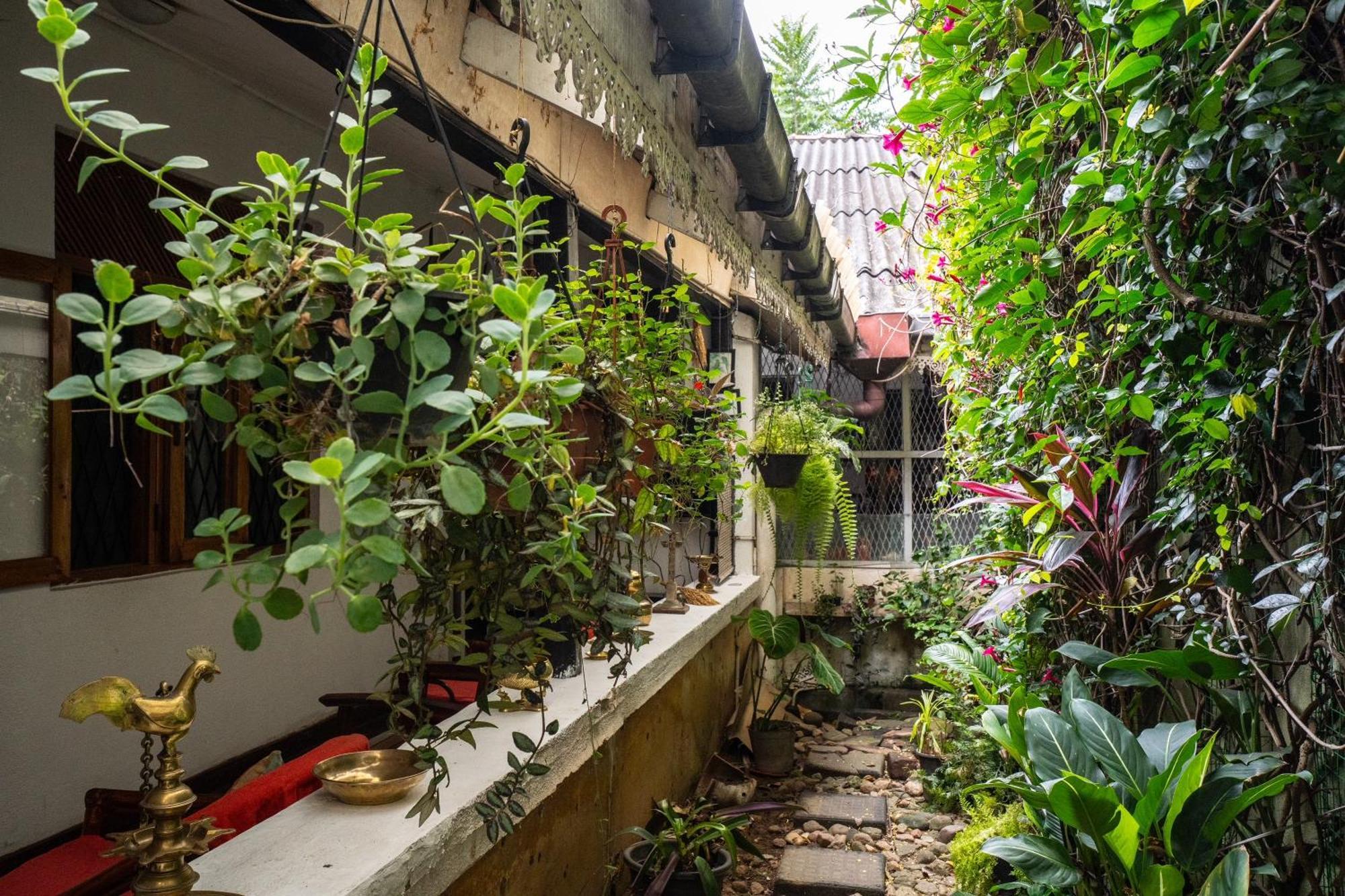 Kandy Inn Madugalle'S Family Guest House Exterior foto