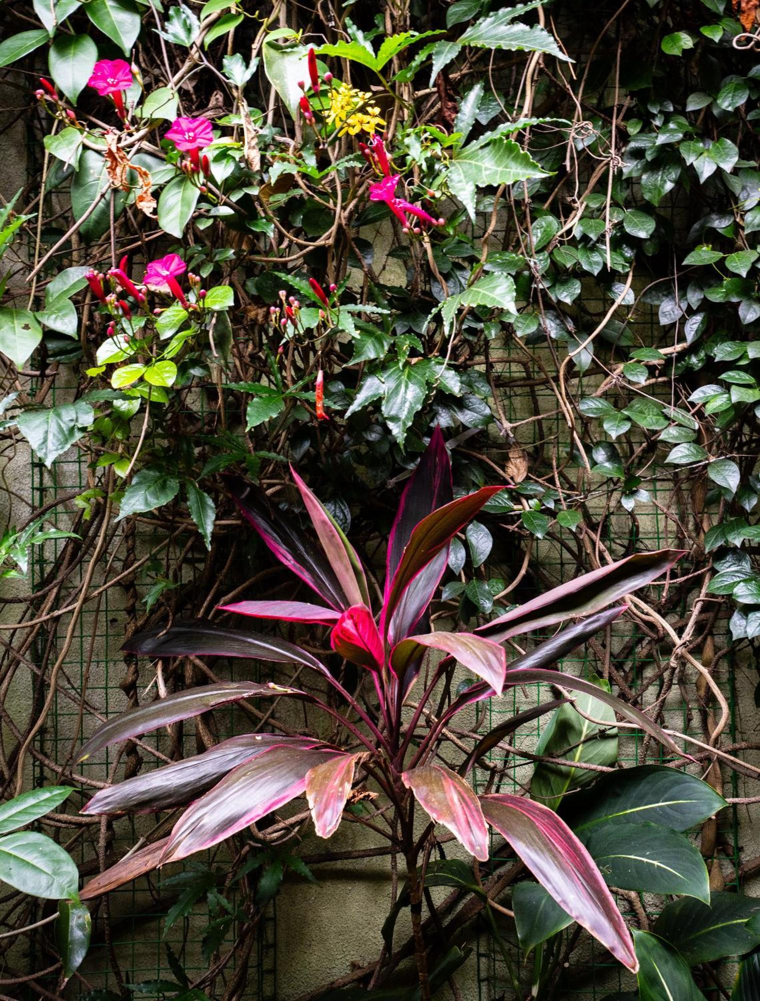 Kandy Inn Madugalle'S Family Guest House Exterior foto